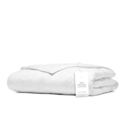 Boll & Branch Down Duvet Insert