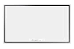 Samsung Flip 2 55-inch