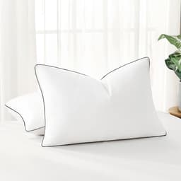 Downstoria Feather Down Pillows Queen