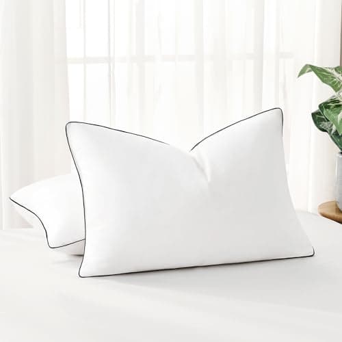 Downstoria Feather Down Pillows Queen