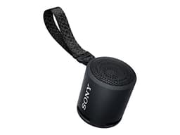 Sony Portable Bluetooth Speaker