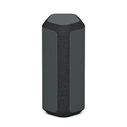 Sony SRS-XE300 Black