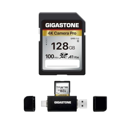 Gigastone SD Card 128GB
