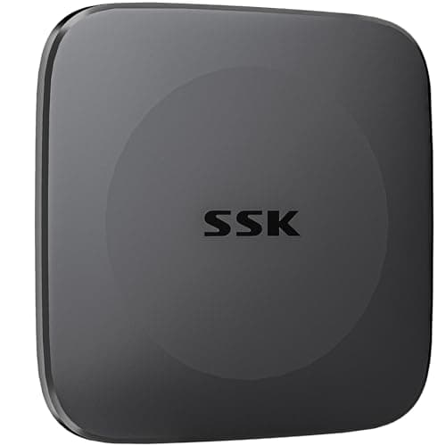 SSK 256GB SSD