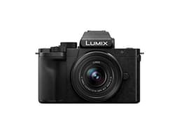 Panasonic LUMIX G100