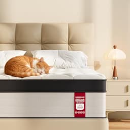 SLUMBERCARE Queen Mattress