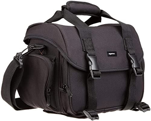 Amazon Basics Large DSLR Bag