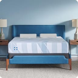 Sealy Dreamlife Twin XL