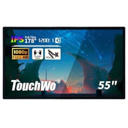 TouchWo 55-inch Touchscreen Monitor