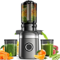 GlowWise Cold Press Juicer Gray