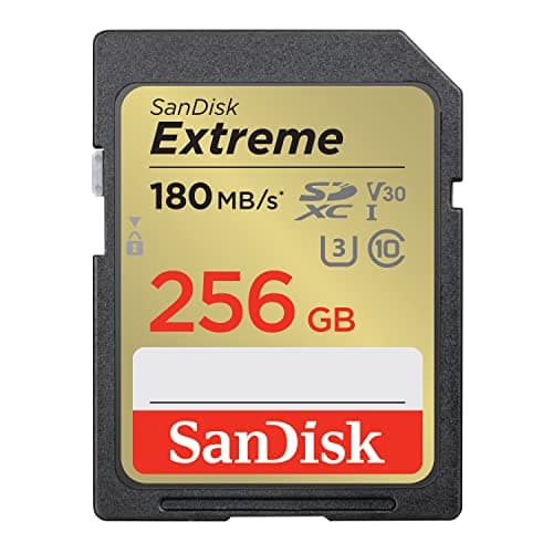 SanDisk Extreme 256GB