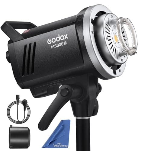 Godox MS300V