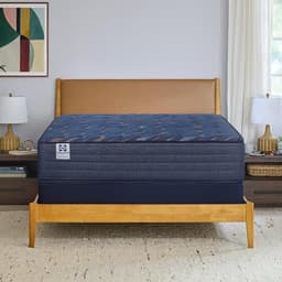 Sealy Warner 12-inch Full