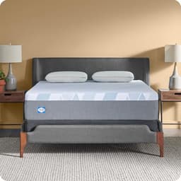Sealy Dreamlife 12-inch Foam Mattress