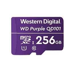 Western Digital SC QD101 256GB