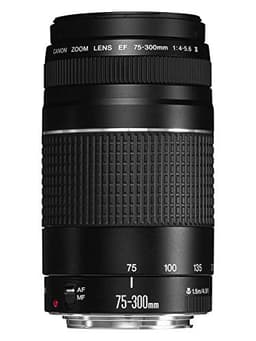 Canon EF 75-300mm f-5.6 III