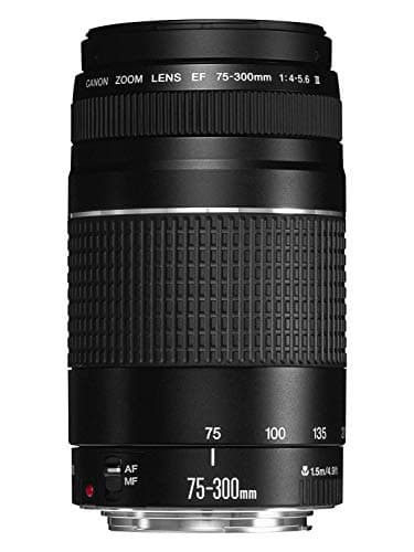 Canon EF 75-300mm f/4-5.6 III
