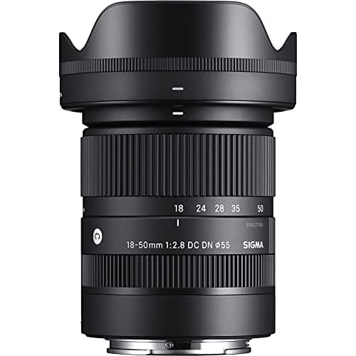 18-50mm F2.8 DC DN Contemporary (for E Mount)