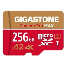 Gigastone Micro SD Card 256GB