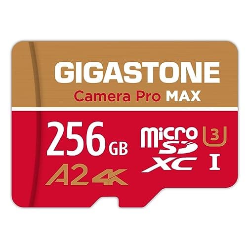 Gigastone 256GB microSD
