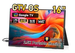 Pagepinmu 16-inch Portable Monitor