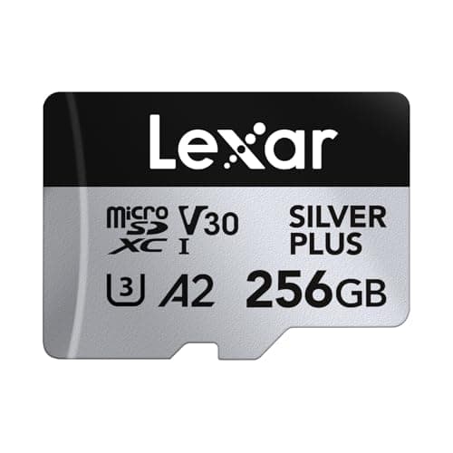 Lexar Silver Plus 256GB