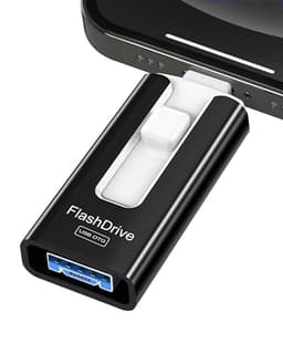 Gnaseet 256GB USB Flash Drive