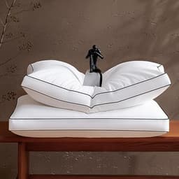 Sanivosily Queen Feather Down Pillows