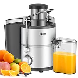 Gdor 800W Juicer Machine