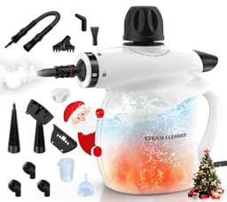 Labigo Steam Cleaner