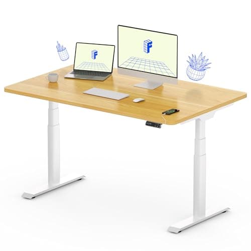 Flexispot E6 Pro 48x30