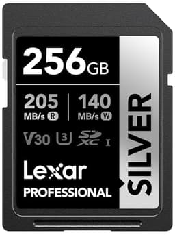 Lexar Professional Silver 256GB