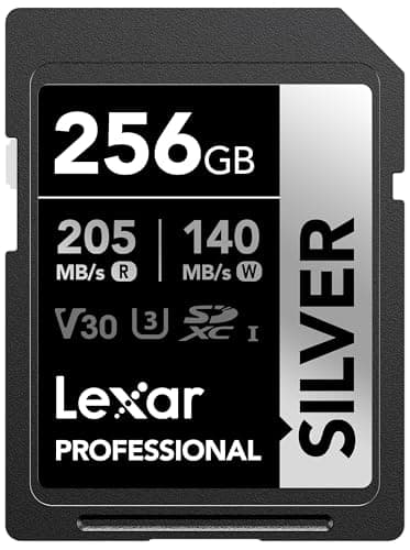 Lexar Professional Silver 256GB