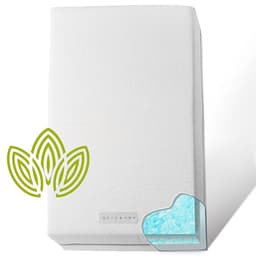 Modera Organic Cotton