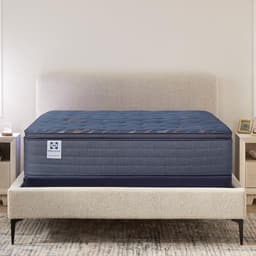 Sealy Warner 14-inch Queen