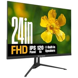 Westinghouse IPS Monitor