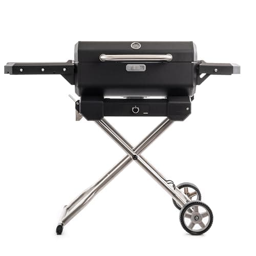 Masterbuilt Electric Portable Charcoal Grill