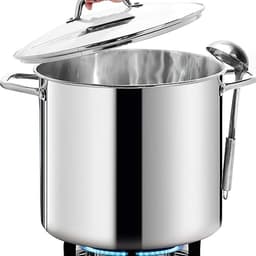 Homichef Stock Pot