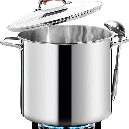 Homichef Stock Pot