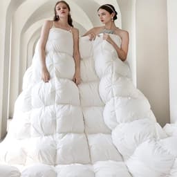 Kakabell Goose Down Comforter Queen