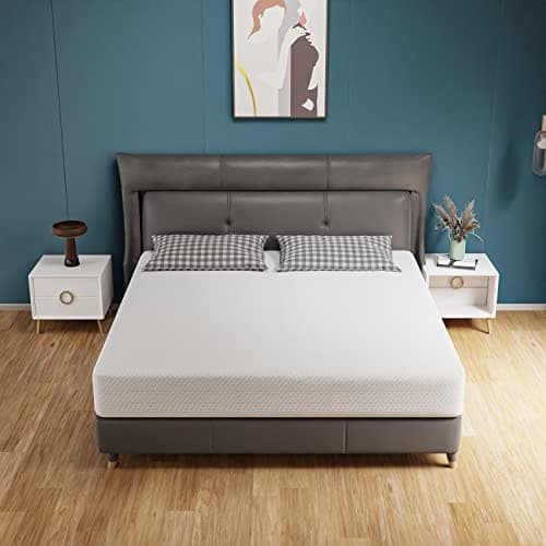 PayLessHere Queen Mattress