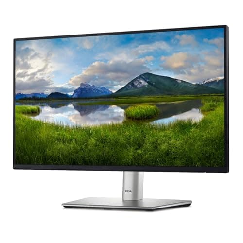Dell P2425H