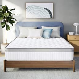 Neo Sleep Hybrid 12-inch