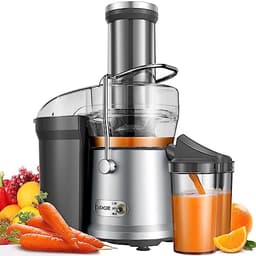 Gdor 1200W Juicer