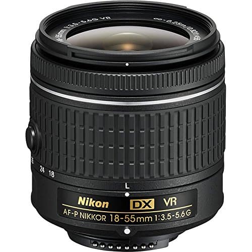 Nikon AF-P 18-55mm f/3.5-5.6 VR