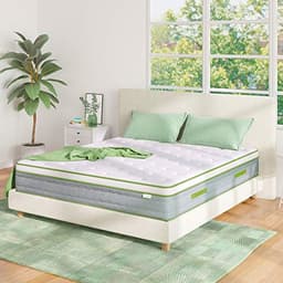 Novilla 10-inch Queen