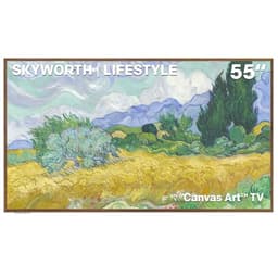 Skyworth C1 Canvas 55-inch