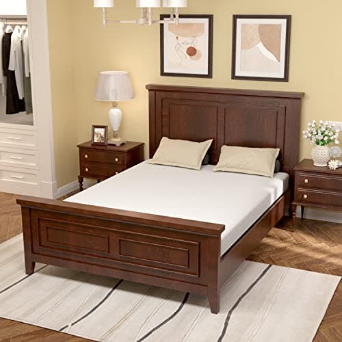 PayLessHere Queen Mattress