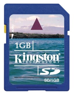 Kingston SD Card 1GB