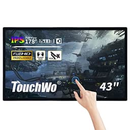TouchWo 43-inch Touchscreen Monitor